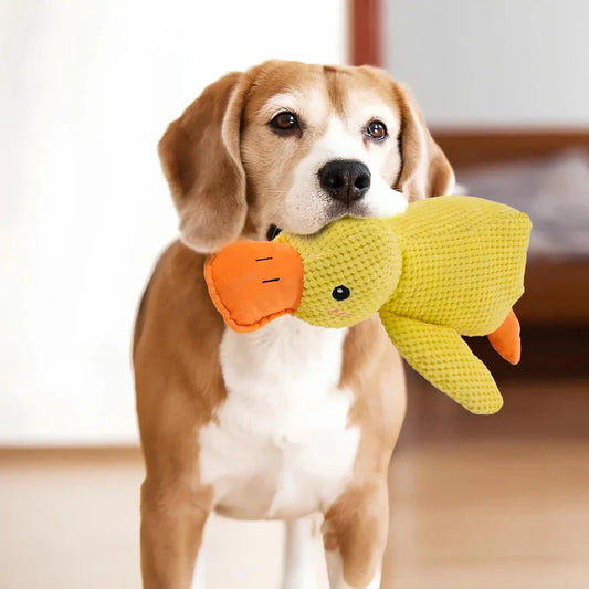 Duck Dog Toy