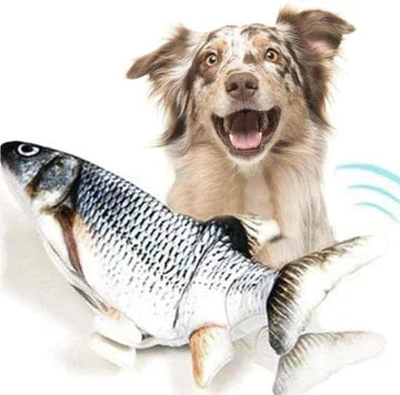 Interactive Fidget Fish Dog Toy