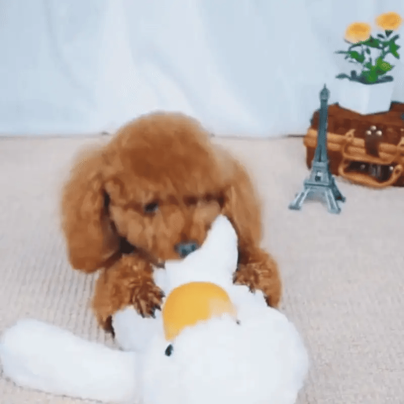 Plush Duck Dog Toy