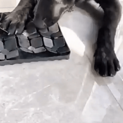 Interactive Dog Feeding Mat