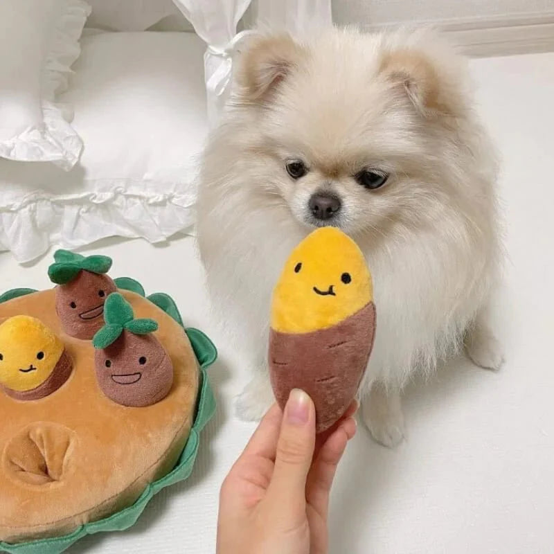 Potato Dog Toy