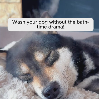 SteamiPro™ | The Ultimate Pet Grooming Brush