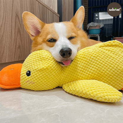 Quackie™ | The calming duck that melts stress away