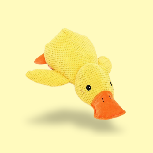Quackie™ | The Soothing Plush Helping Dogs Relax