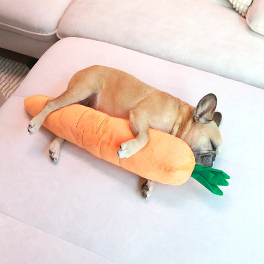 Carrot Dog Toy