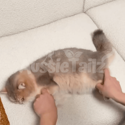 MultiSwipe Pro™ | 3-in-1 Pet Hair Remover