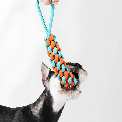 Dog Rope Toy